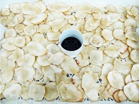 菊芋焙煎茶 ３ｇ×1００包 北海道十勝産 キクイモ １００％使用
