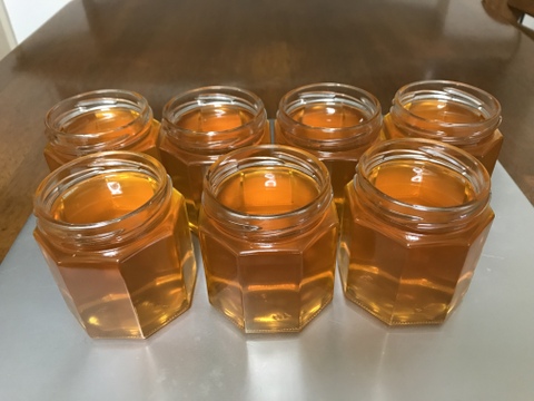 日本蜜蜂　夏の蜂蜜　　二瓶合わせて1.1kg