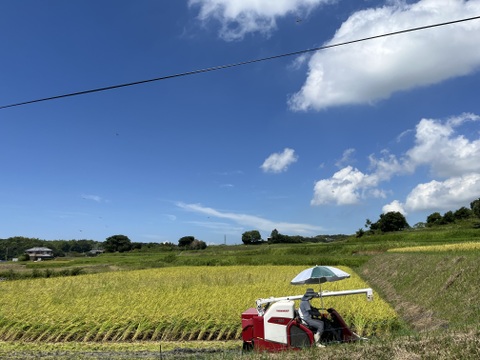 【淡路島五色産　コシヒカリ！　〜令和6年新米予約〜　】白米　約5kg をお届け