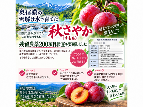 すももの概念が変わります😀大切な方へ😀 希少品種 長野県産プラム