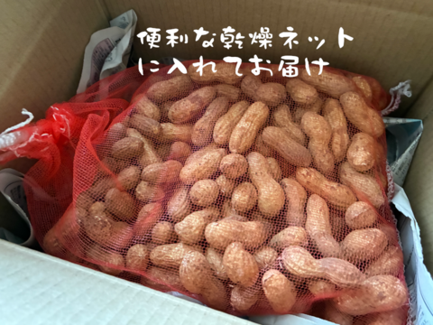 【セール中】落花生の王様！『千葉半立落花生』らっかせい(乾燥500g)生1.3kg相当品