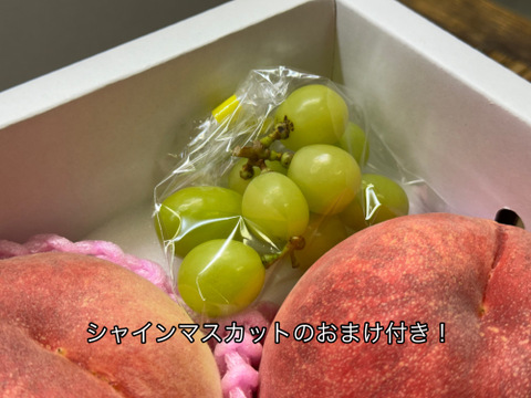 【クール便】桃【さくら】最後まで硬め　大玉　2kg 【数量限定】ぶどうのおまけ付き！