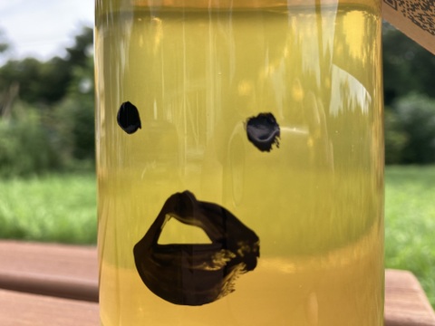 柿のハチミツさん　160g