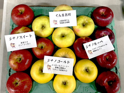 【ミックスりんごBOX第２弾】信州安曇野産りんご４品種詰め合わせ5kg家庭用🍎12個～20個入り〜シナノスイート＆ぐんま名月＆シナノゴールド＆シナノホッペ〜※化学合成農薬30％以上削減栽培