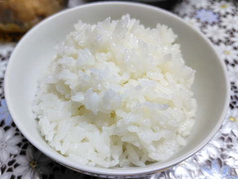 Ｒ７年産一等米ヒノヒカリ「風の香」白米５Kg