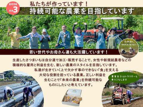 しっとり食感とすっきりした甘みが特徴！【栃木県宇都宮産】平干し芋 1kg（150g×7袋）