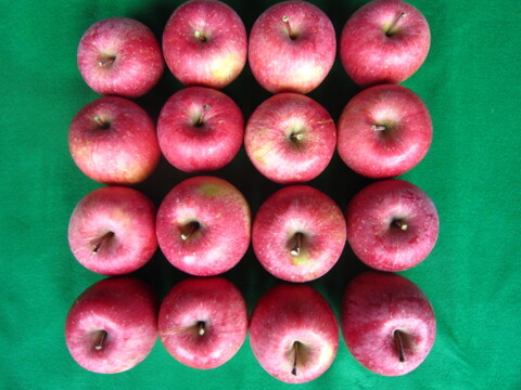 樹上完熟サンふじ 御贈答用には惜しい総重量 約4.5kg前後 青森県 南部地方産 自家りんご農園生産直送品！