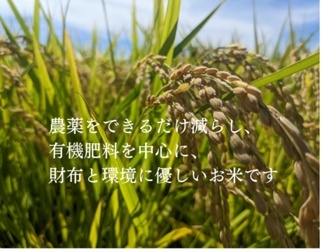 キヌヒカリ精米9kg（農薬節約栽培のお米）
