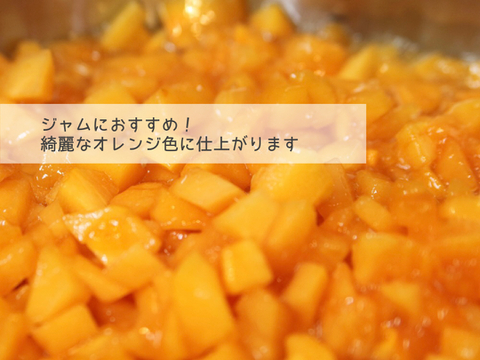 今季最終・富山の四谷柿（よたんがき）ご家庭用2.5kg前後