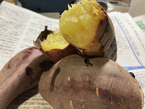 しっとり甘〜い！大山育ち熟成紅はるか5キロ