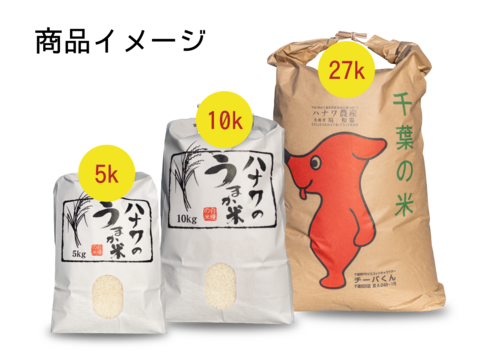 【一等米】令和4年 多古米コシヒカリ 5kg（精米）