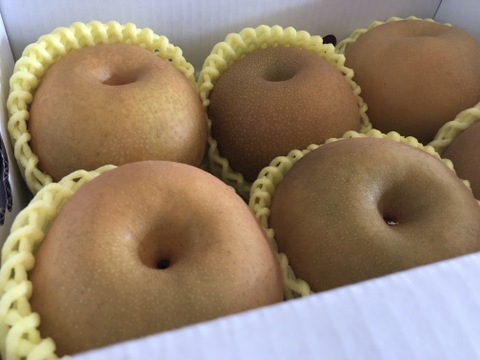 まるせい果樹園の梨【おまかせ】2kg箱　(4～12玉入り)　n1