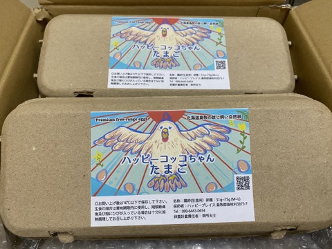 【北海道から】希少な放し飼いコッコの新鮮たまご　10個 × 4パック