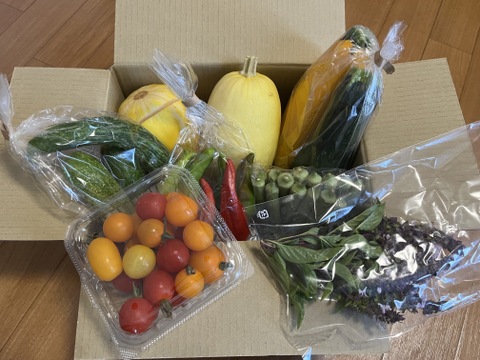 但馬の旬をお届け！採れたて野菜セットS【4〜5種類】(60サイズ)定期便