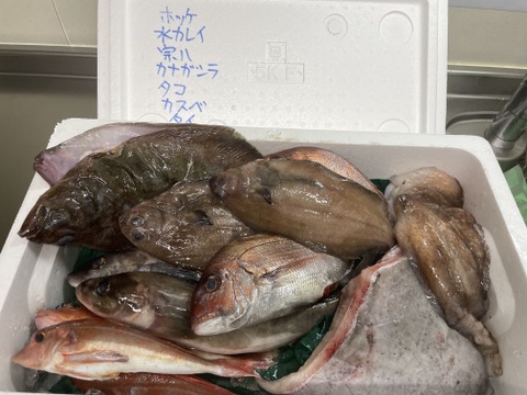 ９月スタート！【最大１ヶ月待ちになります🙇】🐟未利用魚🐟️訳ありを安くお得に！漁師の分け前セット３㎏程度