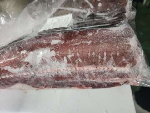 【30％OFF販売中】エイヒレ4kg アカエイ 真空冷凍 急速冷凍 おつまみ 刺身 煮つけ ホンオフェ 赤魟鱼 魟鱼 / 魔鬼鱼 홍어