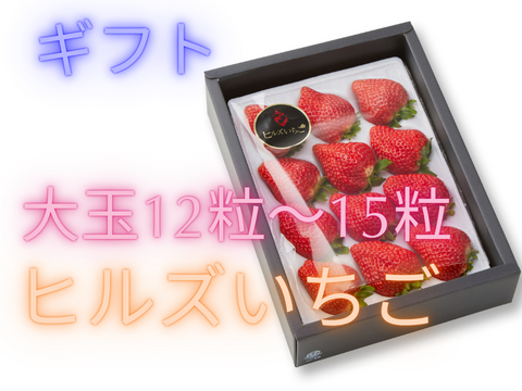 【ギフト】宮城県産「完熟の大玉スターナイト」12粒～15粒ギフト箱入り