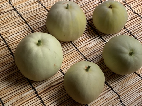 【自然栽培】固定種 みずほニューメロン 2kg以上★農薬・肥料不使用｜昔懐かしメロン