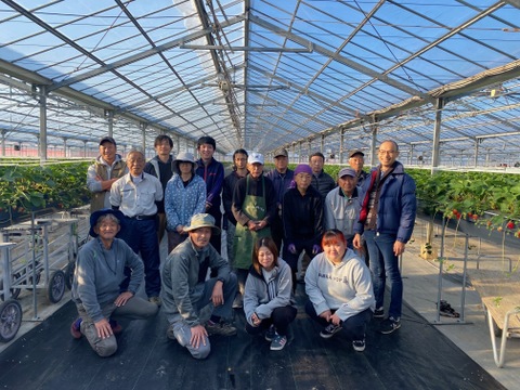 紅白いちご【紅ほっぺ×天使のいちご　サイズ混合セット】1㎏