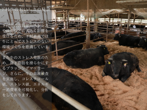 〈お歳暮ギフト〉【数量・期間限定】下村牛シルキーロース　500g