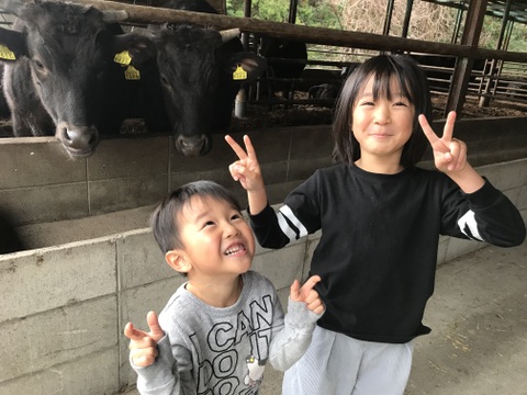 【お歳暮 肉ギフト 2025】黒毛和牛スライス、和歌山県産最高級ブランド熊野牛（霜降りロース250g・赤身モモ250g）食べ比べ、すき焼き、しゃぶしゃぶ用