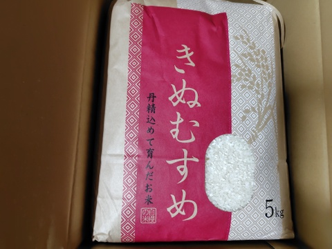 令和7年産】炊き立て最高な艶と味！冷めてもちもち！ ☆きぬむすめ5kg