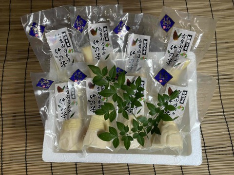農家が作る！有度山日本平竹の子『極み』筍水煮100ｇ×8パック