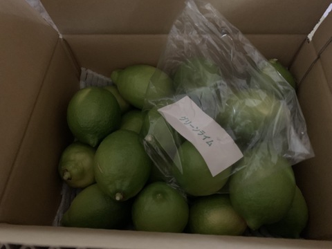 国産グリーンレモン 2キロ