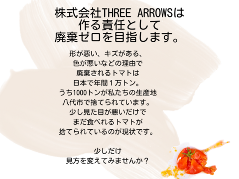 旬をそのまま！「Frozen cherry tomatoes」加工・調理用ミニトマト　クール便１kg