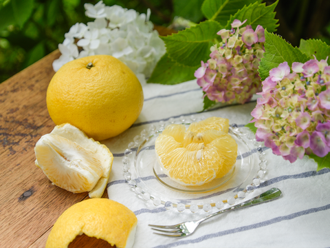 【5月中旬より発送予定】爽やかで夏らしい味わい　夏みかん【家庭用(訳あり)】5kg 318-3