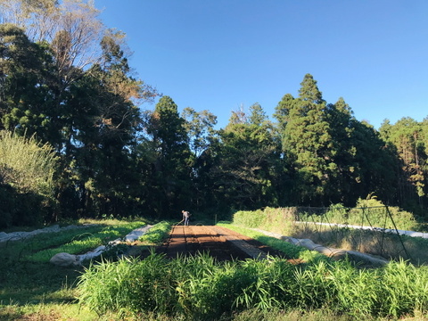 🌈小さな畑の冬野菜🌈【2〜3人分】