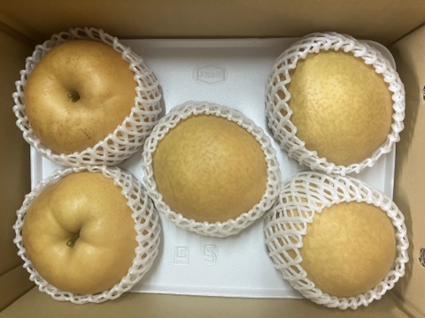 【福袋】【冬ギフト】鳥取県産 冬の梨食べ比べセット（王秋・あたご　4kg）