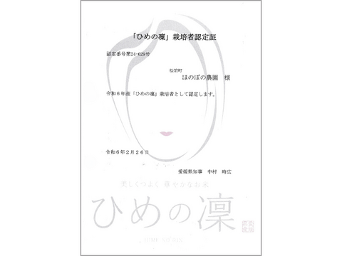 ✨令和6年産新米 ✨「ひめの凜」 プレミアムクオリティ 一等米(2㎏):愛媛 ✨令和6年産新米 ✨「ひめの凜」 プレミアムクオリティ 一等米(2㎏):愛媛