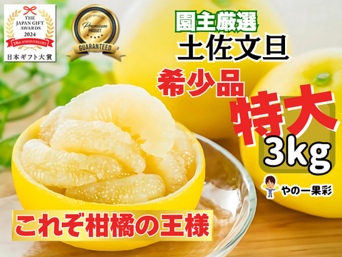 【日本ギフト大賞受賞】👑 家庭用 土佐文旦 高知県産 超特大700g〜1kg  3kg〜 ✨食べ応え抜群の迫力サイズ🍊