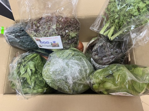 淡路島からの野菜4種❣️お任せセット(^-^)v❣️野菜セット