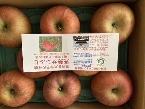「完熟サンふじ」お値下げしました。now on sale訳あり　ご家庭専用　3キロコース　（8～12個入り）