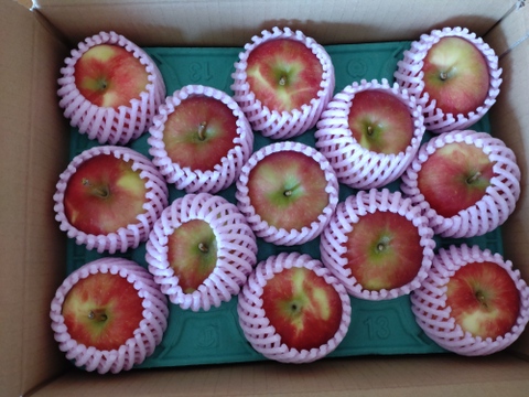 🍎幻の夏りんご🍎夏あかり 3キロ箱 小玉品種〜18玉 商品ID40928 長野県 信州 安曇野 リンゴ 幻 幻のリンゴ 予約 希少 旬