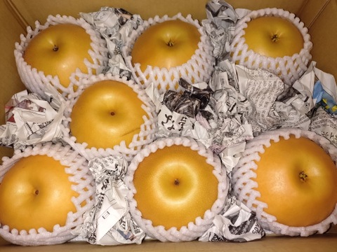 令和8年9月発送【予約】梨 南水 良品　3kg 長野県産　大好評‼️