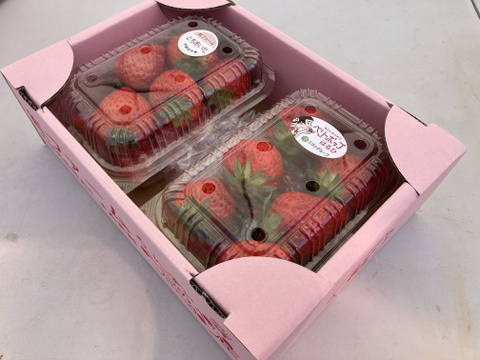 【食べ比べ】4品種セット箱