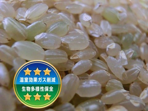 農薬アレルギーの方でも安心！「残留農薬０の米®」玄米ひとめぼれ４kg