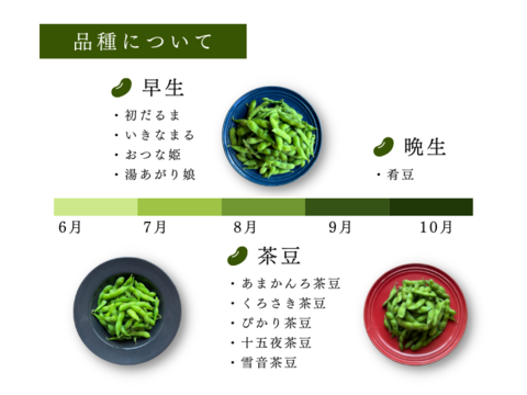 【送料無料】  甘みと香りがバツグン！新潟黒埼産の肴豆【1.5kg】