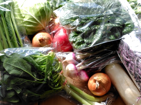 畑から直送! 野菜ソムリエ農家　旬のカラフル野菜セット(約7,8品目)