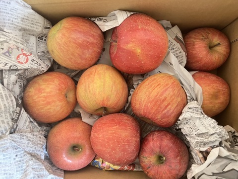 12月より発送【ご家庭用訳あり！】樹上完熟！！サンふじ(5kg)