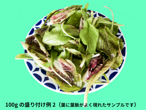 ほろ苦さたっぷり　チコリーのミックスリーフ  100g　露地土耕栽培