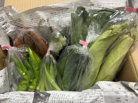 【おまかせ】オーガニック野菜セット(6品)