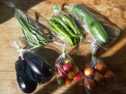 一人暮らしの方に・季節の野菜セット５～７品（Ｓサイズ・1～1.5kg前後）【お試しサイズ】