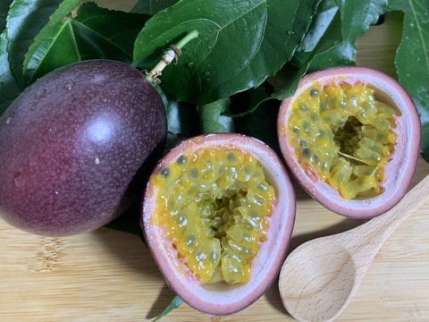 🌺販売中🌺\\ はじめましてセット //
【有機JAS認証】オーガニック芳醇パッションフルーツ/『ご家庭用1.2kg ¥3600→¥3000』/贈り物にも◎/芳醇な香り/濃厚な味わい！