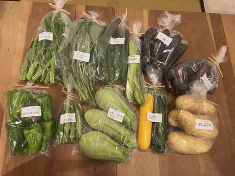 自然栽培野菜Mセット7～9種類