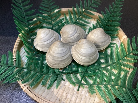 【10セット限定】村政丸スペシャル ホンビノス貝　極み