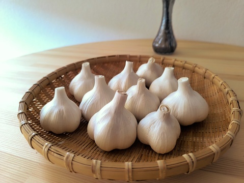 ✨青森県十和田産｜濃厚旨味のホクホクにんにく500ｇ✨